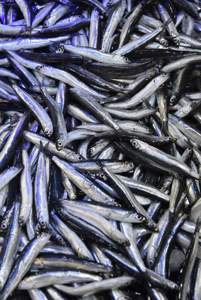 Vatandaşın poşetinde balık denetimi olmaz.