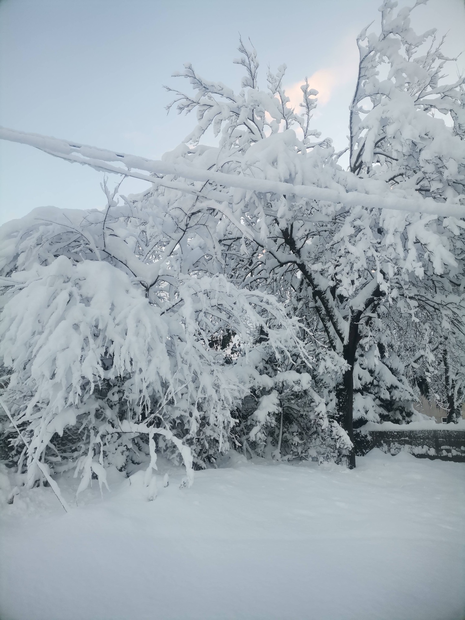Giresun Kırsalı Karanlıkta, Yöneticiler Aydınlıkta